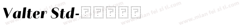 Valter Std字体转换